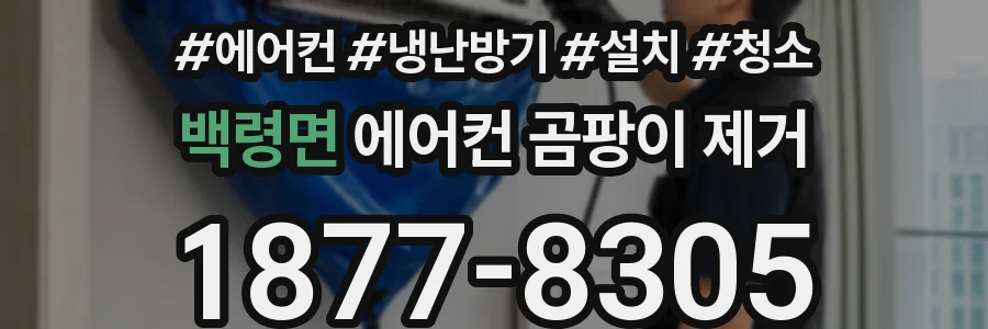 백령면 에어컨 곰팡이 제거