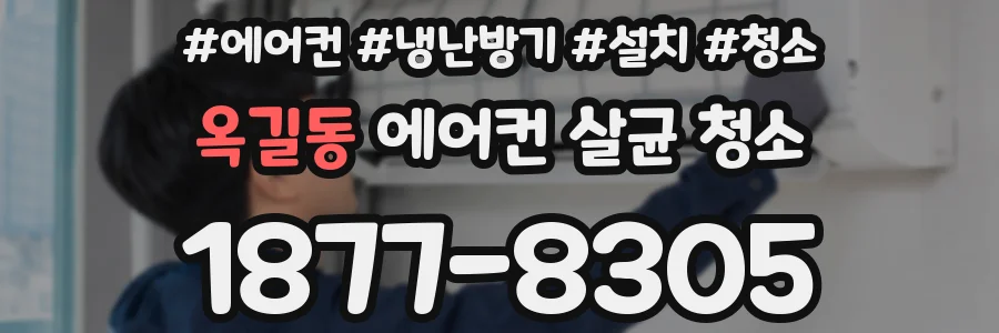옥길동 에어컨 살균 청소