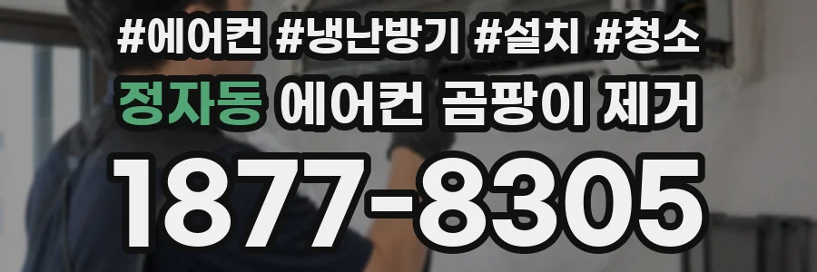 정자동 에어컨 곰팡이 제거