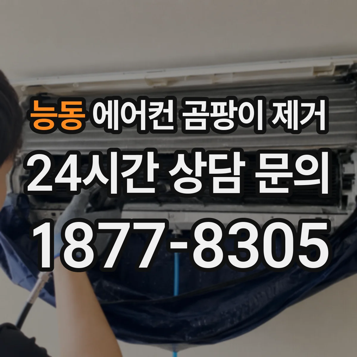 능동 에어컨 곰팡이 제거