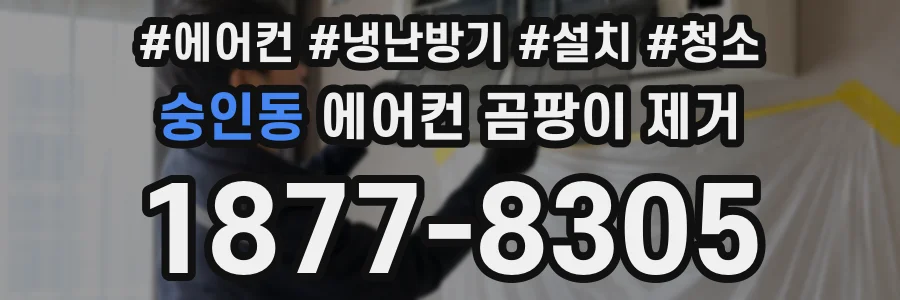 숭인동 에어컨 곰팡이 제거