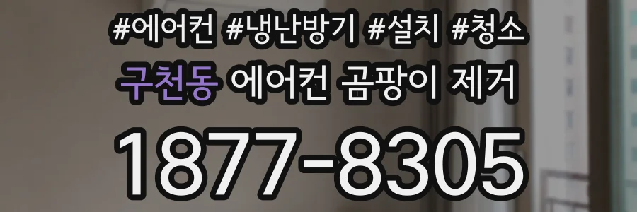 구천동 에어컨 곰팡이 제거