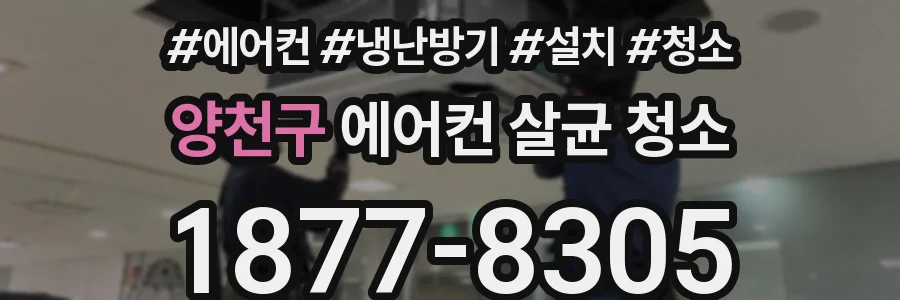 양천구 에어컨 살균 청소
