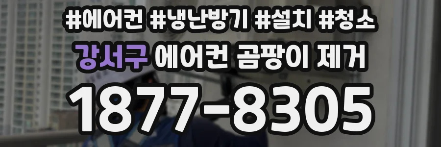 강서구 에어컨 곰팡이 제거