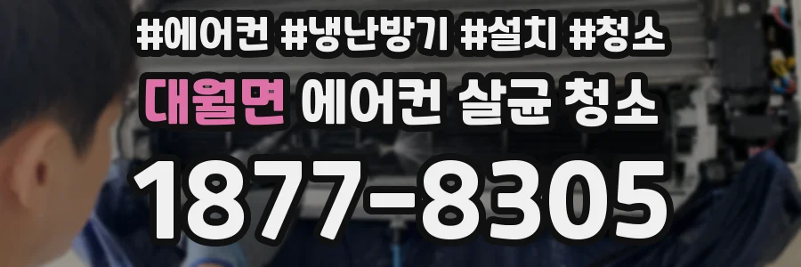 대월면 에어컨 살균 청소