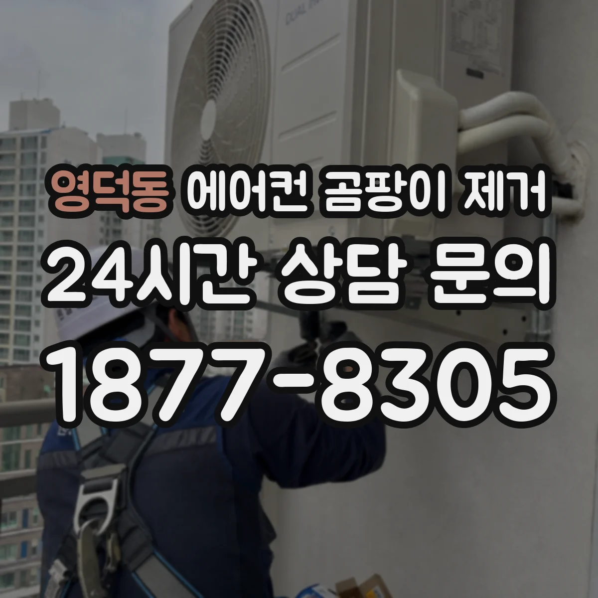 영덕동 에어컨 곰팡이 제거