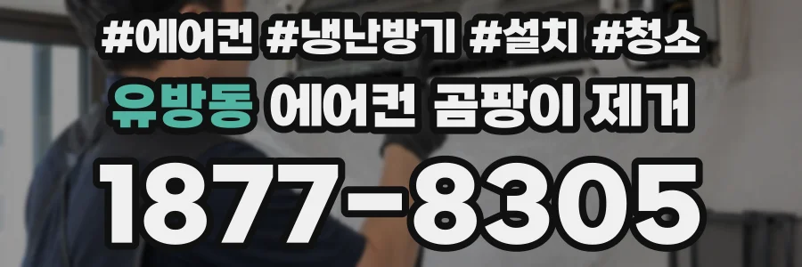 유방동 에어컨 곰팡이 제거