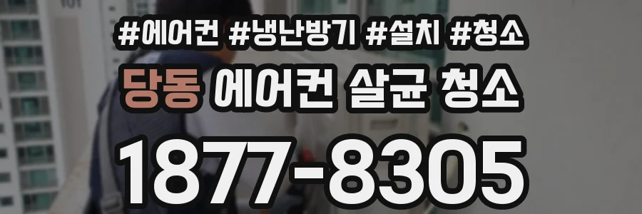 당동 에어컨 살균 청소