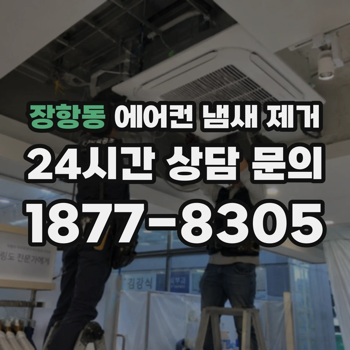 장항동 에어컨 냄새 제거
