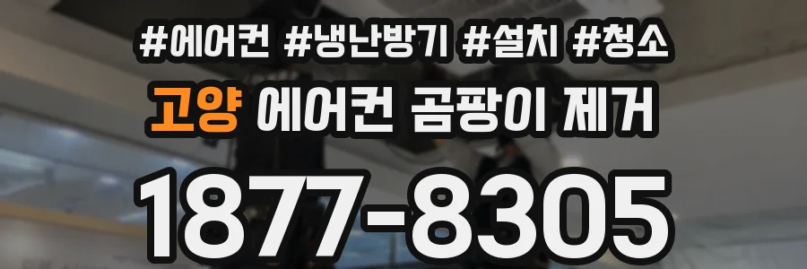 고양 에어컨 곰팡이 제거