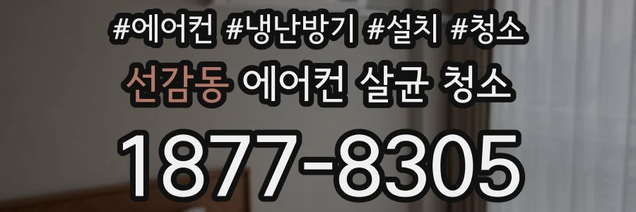 선감동 에어컨 살균 청소