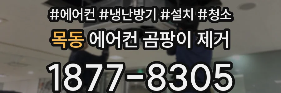목동 에어컨 곰팡이 제거