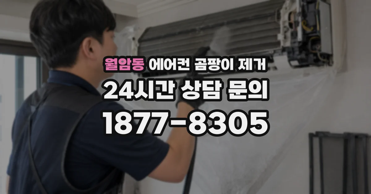 월암동 에어컨 곰팡이 제거
