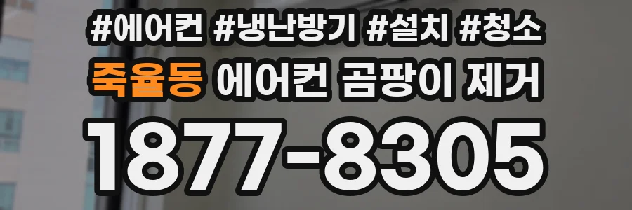 죽율동 에어컨 곰팡이 제거