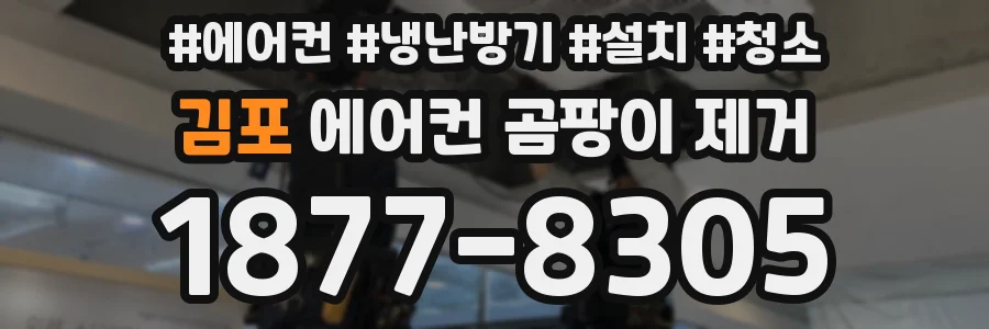 김포 에어컨 곰팡이 제거