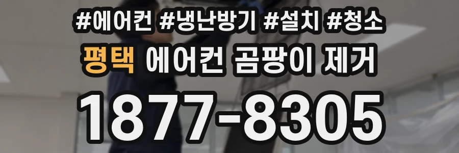 평택 에어컨 곰팡이 제거