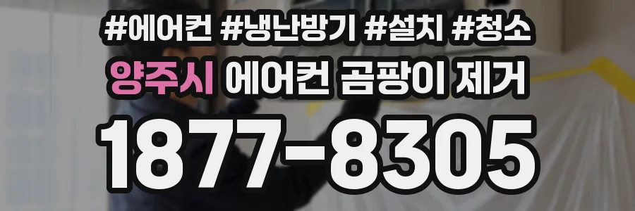 양주시 에어컨 곰팡이 제거