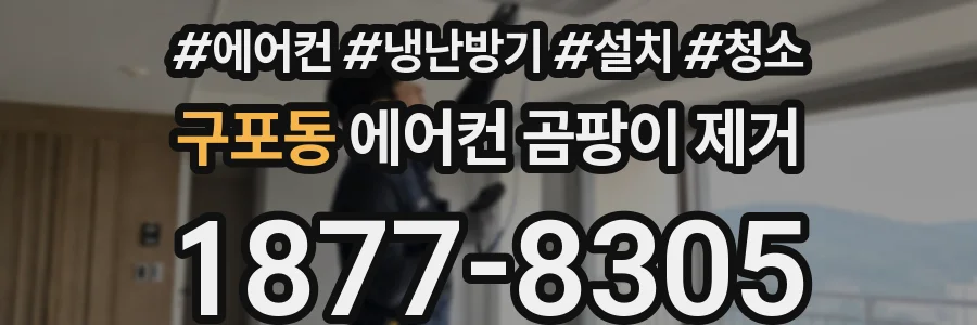 구포동 에어컨 곰팡이 제거