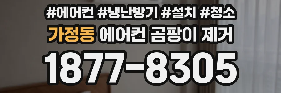 가정동 에어컨 곰팡이 제거