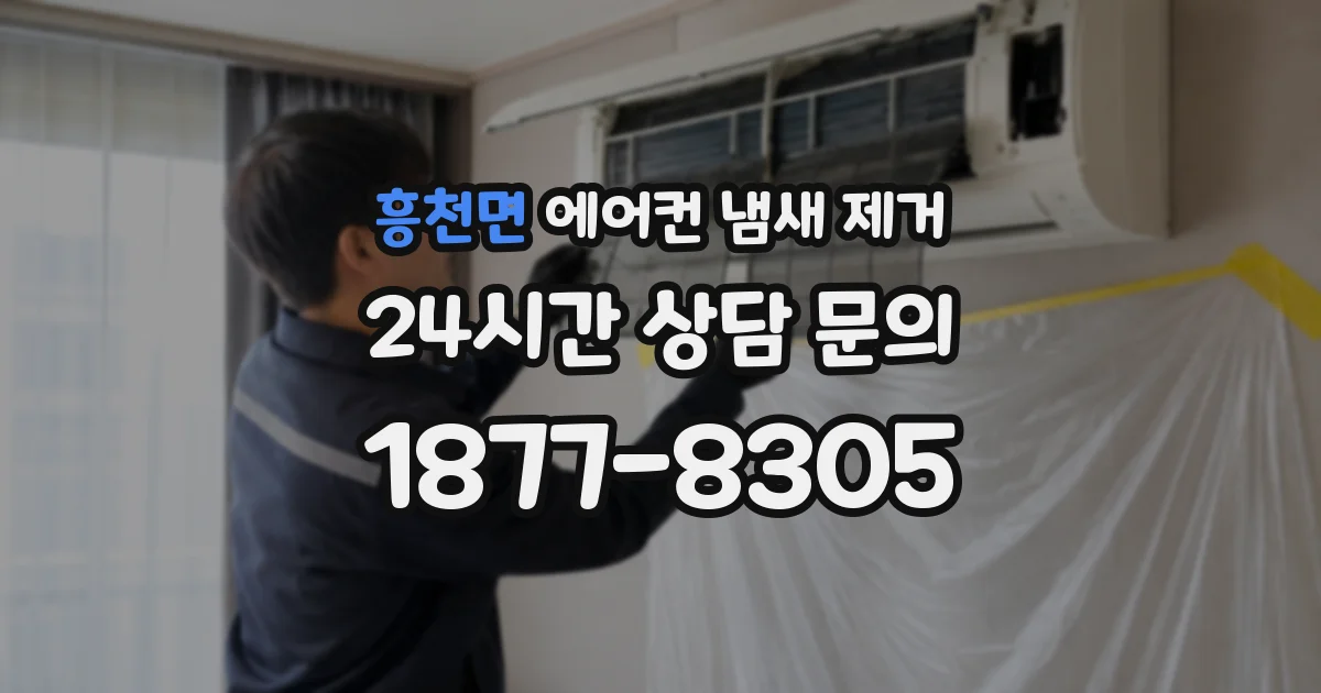 흥천면 에어컨 냄새 제거