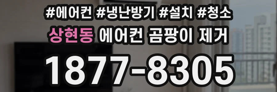 상현동 에어컨 곰팡이 제거