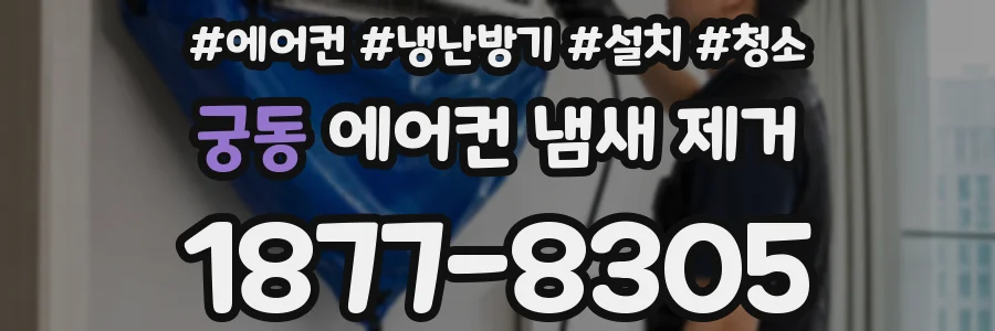 궁동 에어컨 냄새 제거