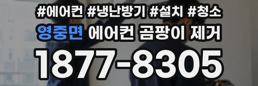 영중면 에어컨 곰팡이 제거