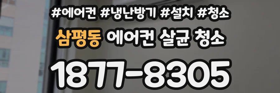 삼평동 에어컨 살균 청소