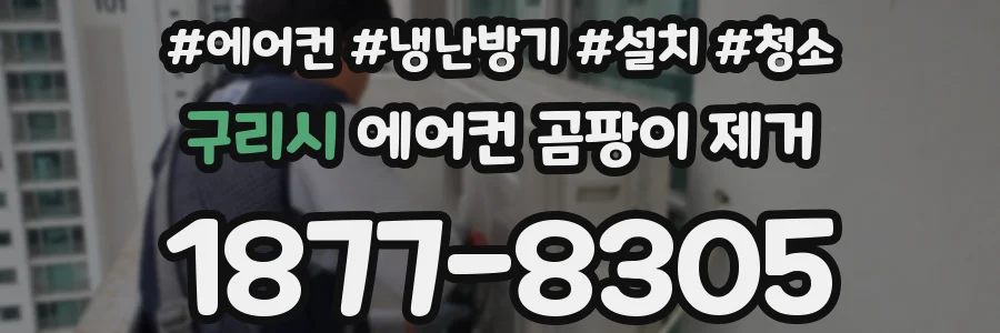 구리시 에어컨 곰팡이 제거