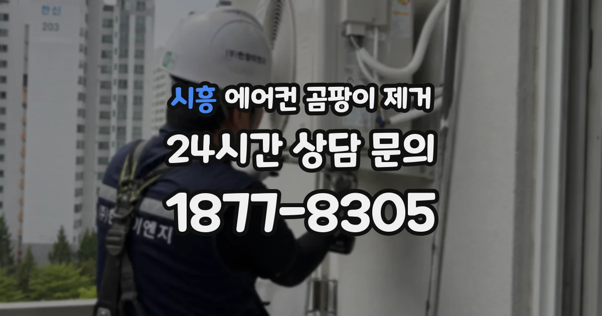 시흥 에어컨 곰팡이 제거