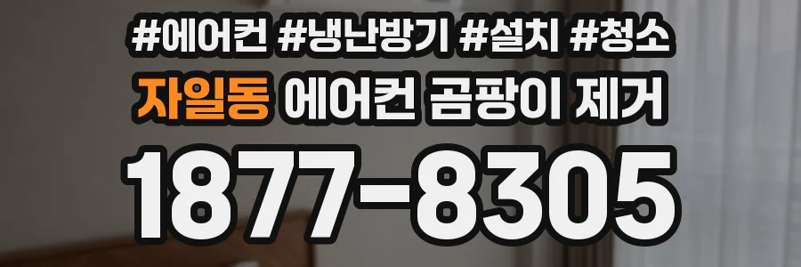 자일동 에어컨 곰팡이 제거