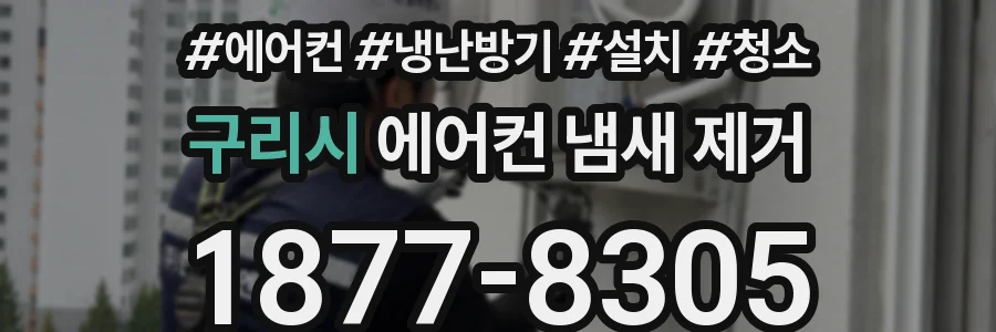구리시 에어컨 냄새 제거
