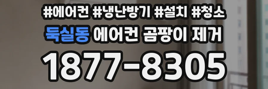 둑실동 에어컨 곰팡이 제거