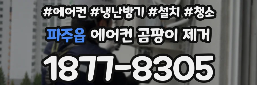 파주읍 에어컨 곰팡이 제거