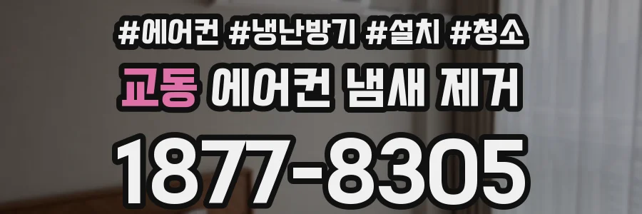 교동 에어컨 냄새 제거
