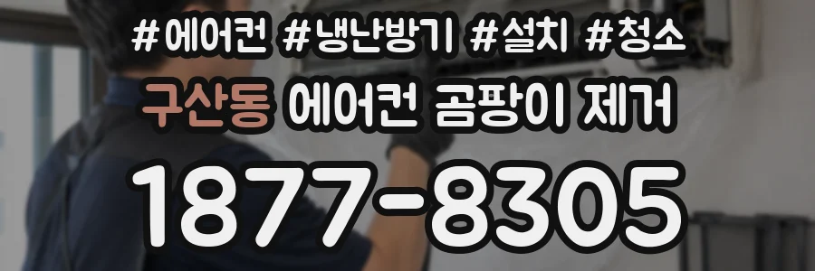 구산동 에어컨 곰팡이 제거