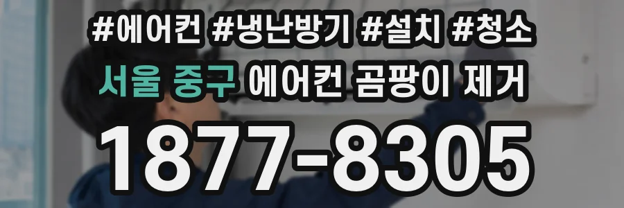 서울 중구 에어컨 곰팡이 제거