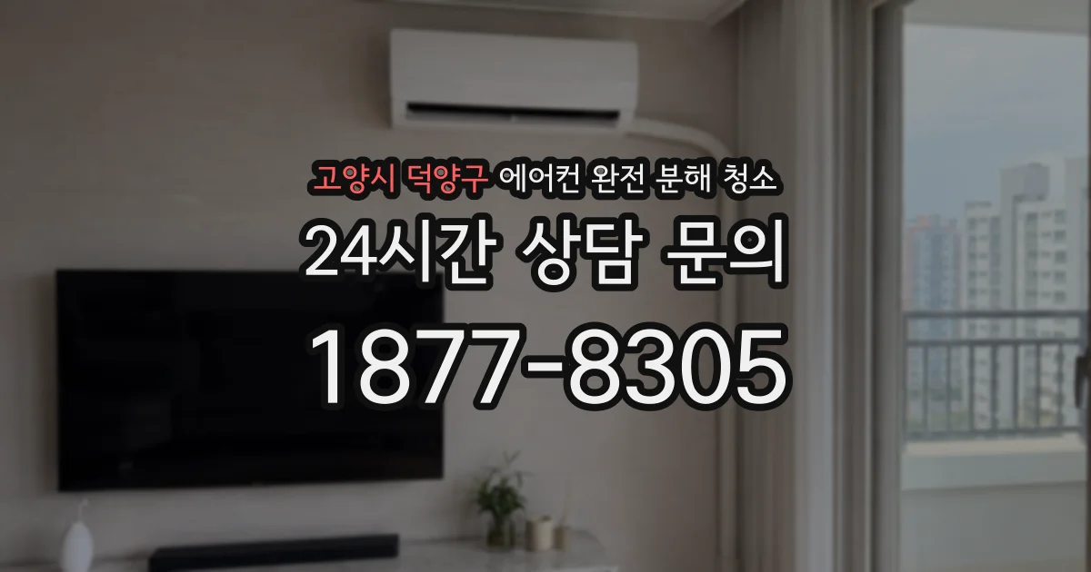 고양시 덕양구 에어컨 완전 분해 청소