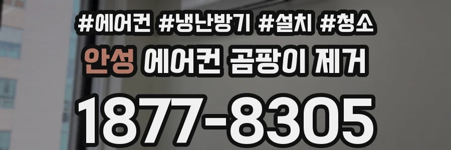 안성 에어컨 곰팡이 제거