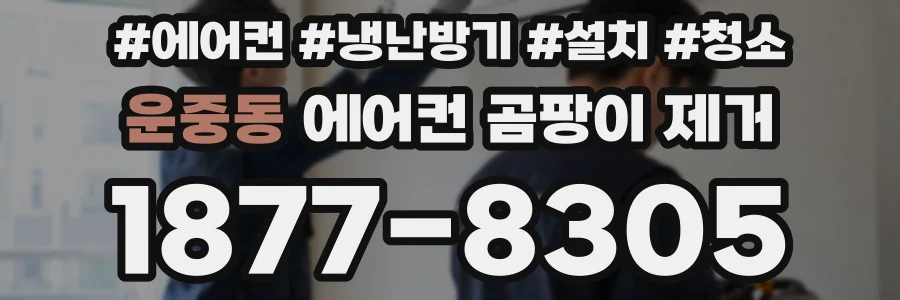 운중동 에어컨 곰팡이 제거