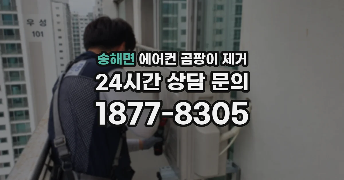 송해면 에어컨 곰팡이 제거