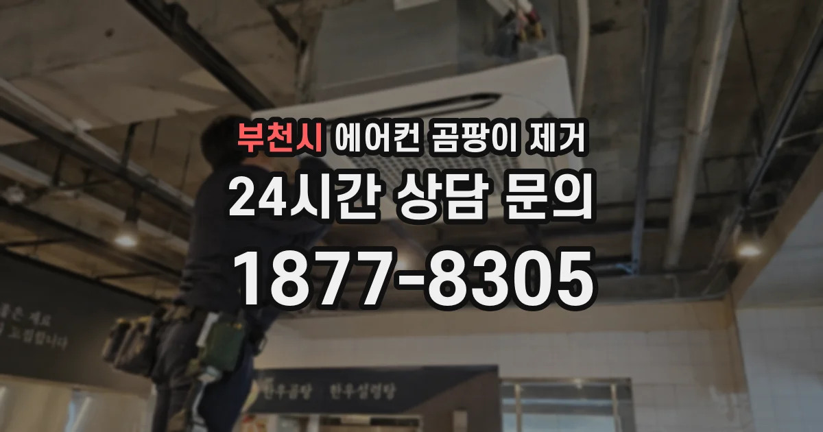 부천시 에어컨 곰팡이 제거