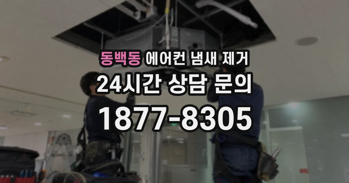 동백동 에어컨 냄새 제거