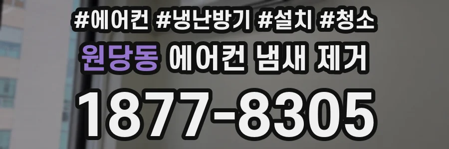 원당동 에어컨 냄새 제거