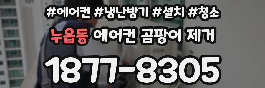 누읍동 에어컨 곰팡이 제거