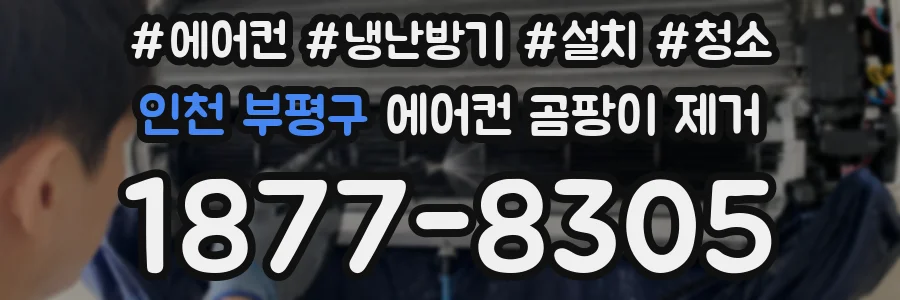 인천 부평구 에어컨 곰팡이 제거