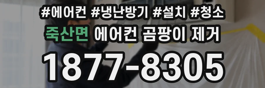 죽산면 에어컨 곰팡이 제거