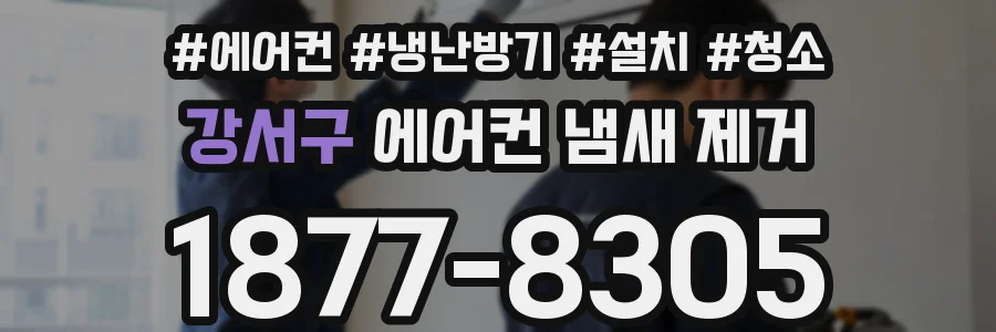 강서구 에어컨 냄새 제거