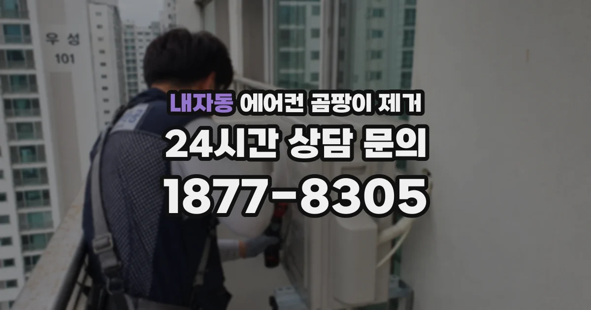 내자동 에어컨 곰팡이 제거