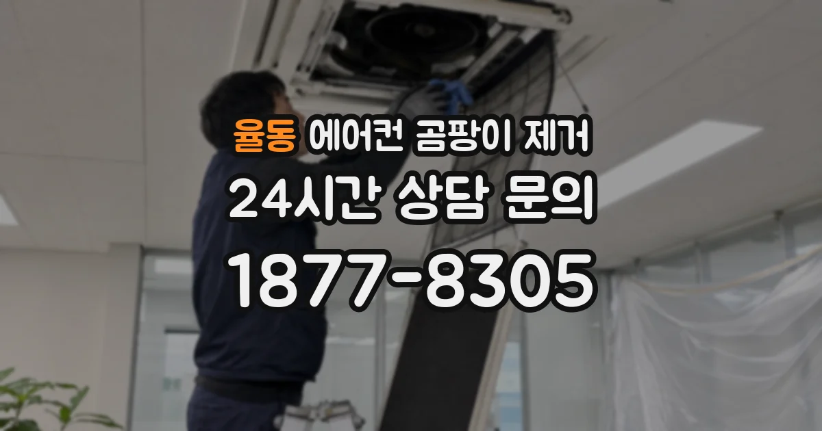 율동 에어컨 곰팡이 제거